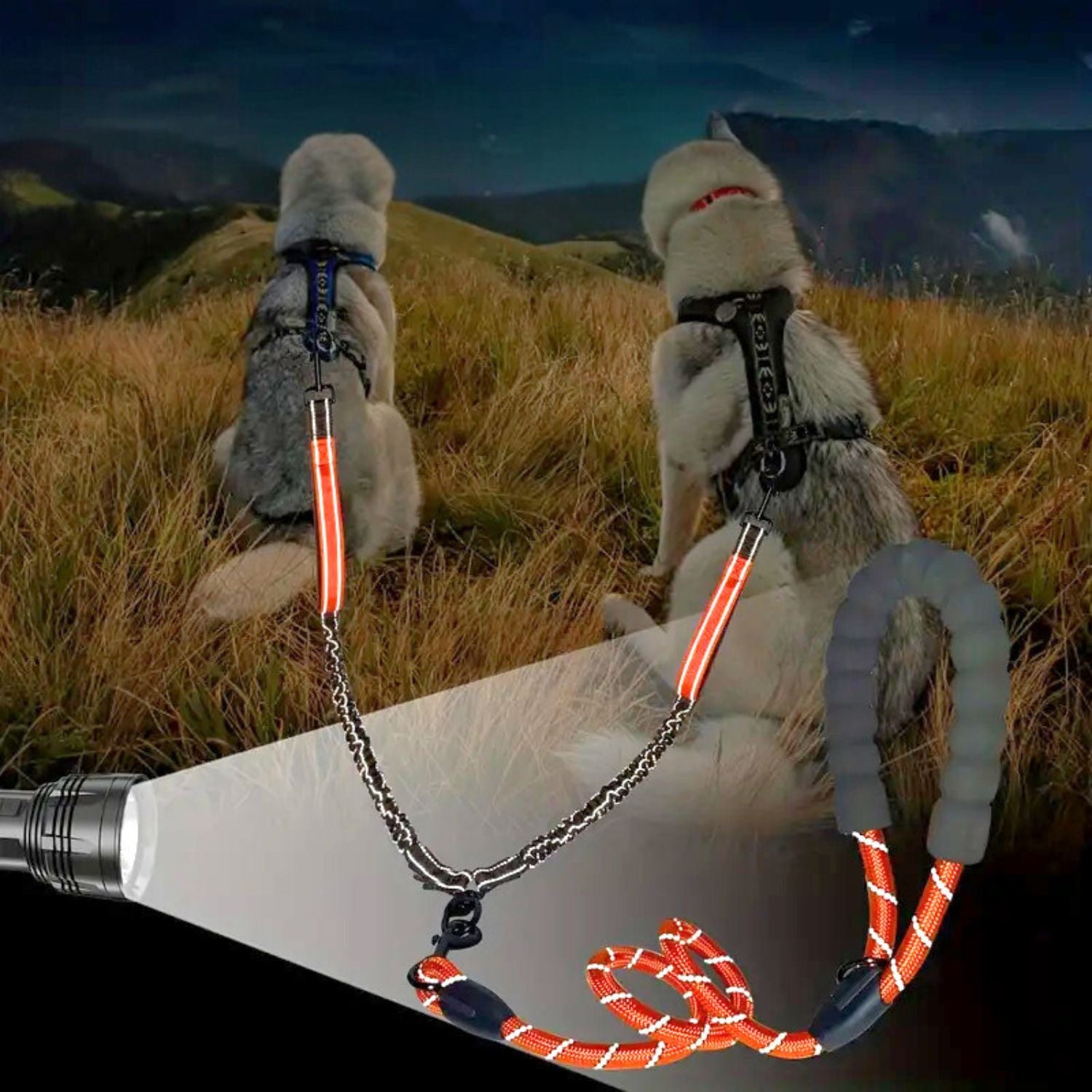 dubbele hondenriem glow at night